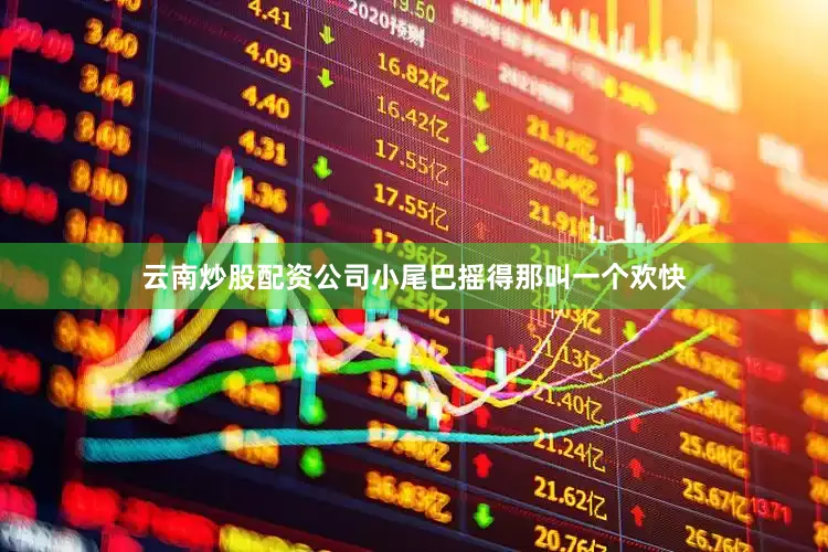 云南炒股配资公司小尾巴摇得那叫一个欢快